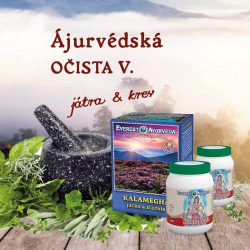 játra a krev detox