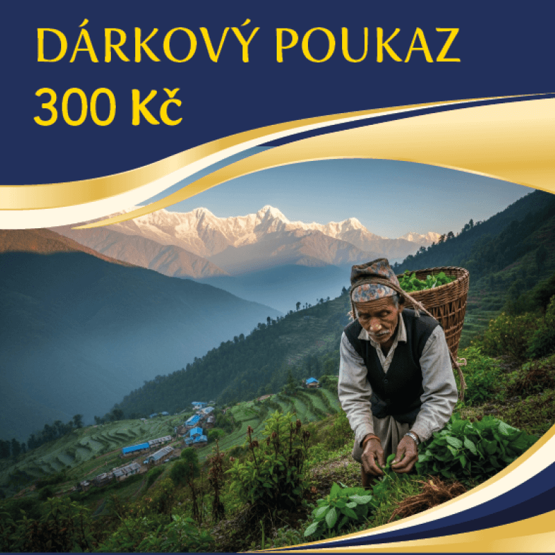 Everest Ayurveda Voucher 300