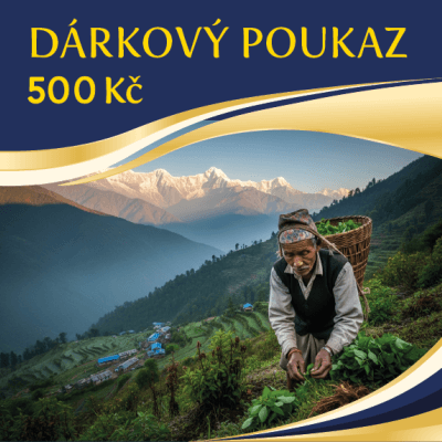 Everest Ayurveda Voucher 500